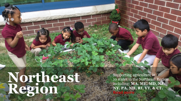 NJ Agricultural Society Learning Through Gardening Program - Kids picking strawberries