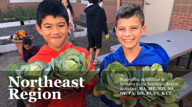 NJ Agricultural Society Learning Through Gardening Program - Boys with Cabbage