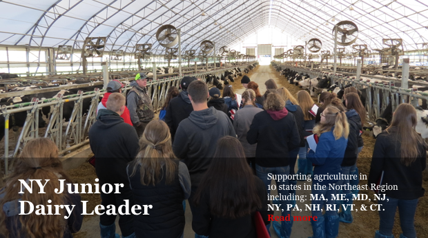 New York State Junior Dairy Leader